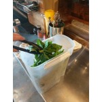 Fineline 3370-BK Platter Pleasers 7 1/2