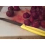 Victorinox 4 1/2