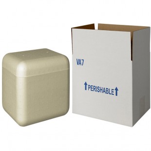 Insulated Shipping Box with Biodegradable Cooler 7 3/4