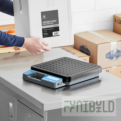 AvaTek RSB100T 100 lb. Digital Receiving Scale with Built-In Handle and Treaded Platter
