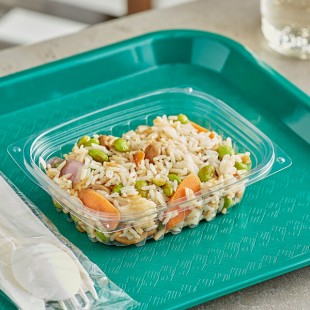 World Centric 8 oz. Compostable Rectangular Clear PLA Plastic Deli Container - 900/Case