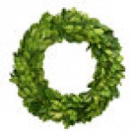 Mills Floral Company 8 Mills Floral Company 8