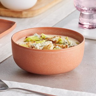 Acopa Pangea 16 oz. Terra Cotta Matte Porcelain Bowl - Sample Acopa Pangea 16 oz. Terra Cotta Matte Porcelain Bowl - Sample