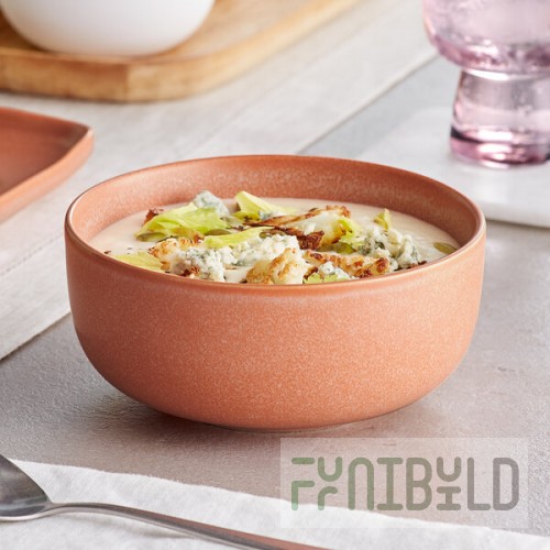 Acopa Pangea 16 oz. Terra Cotta Matte Porcelain Bowl - Sample