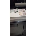 Baker's Lane 18