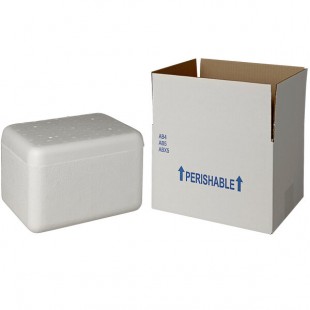 Insulated Shipping Box with Foam Cooler 9 5/8 Insulated Shipping Box with Foam Cooler 9 5/8