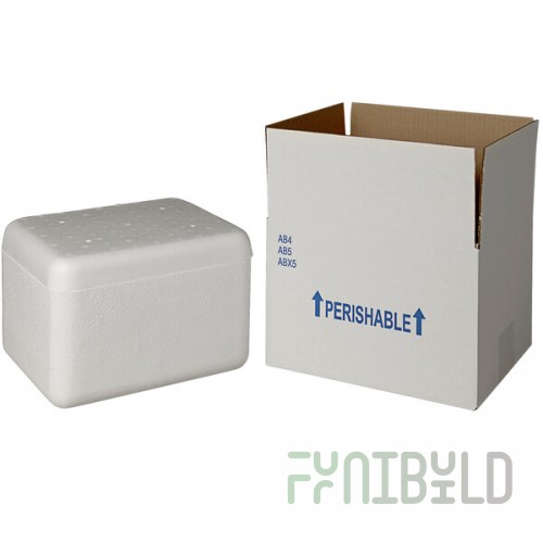 Insulated Shipping Box with Foam Cooler 9 5/8