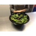 Fineline 3390-BK Platter Pleasers 9