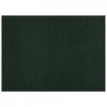 H. Risch, Inc. TABLEMATOCT17X13GREEN 17
