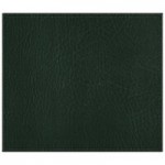 H. Risch, Inc. TABLEMATOCT17X13GREEN 17