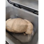 Bob's Red Mill Vital Wheat Gluten 20 oz.