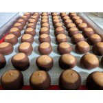 Clasen Quality Chocolate Alpine Milk Chocolate Coating Wafers 25 lb.