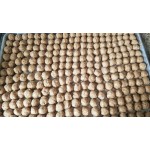 Vollrath 9303 Wear-Ever Half Size 19 Gauge 13
