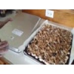 Vollrath 9303 Wear-Ever Half Size 19 Gauge 13