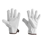 Cordova Premium Grain Cowhide Leather Driver's Gloves - Vendpacked - Extra Large - Pair