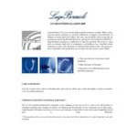Luigi Bormioli Magnifico from BauscherHepp 15.5 oz. Wine Glass - 24/Case Luigi Bormioli Magnifico from BauscherHepp 15.5 oz. Wine Glass - 24/Case