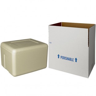 Insulated Shipping Box with Biodegradable Cooler 16 1/2