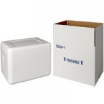 Insulated Foam Cooler 14 1/8 Insulated Foam Cooler 14 1/8
