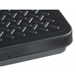 AvaTek RSB250T 250 lb. Digital Receiving Scale with Built-In Handle and Treaded Platter
