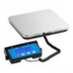 AvaTek RSB250T 250 lb. Digital Receiving Scale with Built-In Handle and Treaded Platter