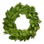 Mills Floral Company 6