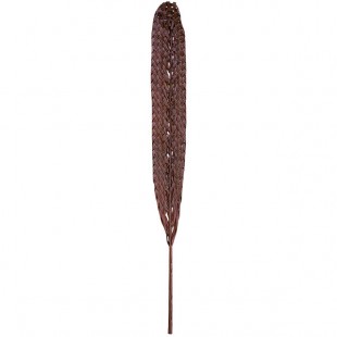 Kalalou 48