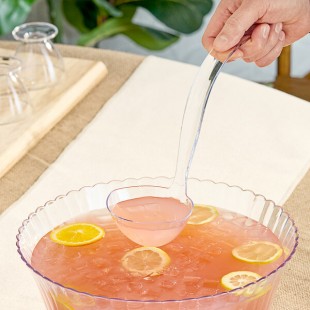 Visions 5 oz. Clear Disposable Plastic Ladle - 48/Case Visions 5 oz. Clear Disposable Plastic Ladle - 48/Case