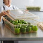 Cambro 1826CCW464 Camwear® 26 Cambro 1826CCW464 Camwear® 26