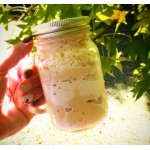 Libbey 97084 16 oz. Customizable Drinking Jar / Mason Jar with Handle - 12/Case