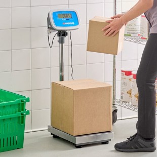 AvaTek BS330T 330 lb. Digital Receiving Bench Scale with Tower Display