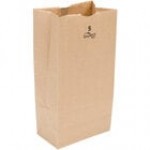5 lb. White Paper Bag - 500/Bundle