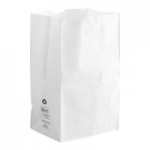 5 lb. White Paper Bag - 500/Bundle