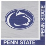 Creative Converting 664716 Michigan State University 2-Ply 1/4 Fold Luncheon Napkin - 240/Case