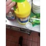 1 Gallon 100% Lime Juice - 4/Case