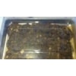 Vollrath 5303CV Half Size NSF Bun / Sheet Pan Cover