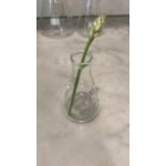 American Metalcraft GF17 Chemistry Collection 17 oz. (500 mL) Erlenmeyer Flask Glass