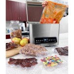 VacMaster VP95 Chamber Vacuum Packaging Machine with 9 1/4 VacMaster VP95 Chamber Vacuum Packaging Machine with 9 1/4