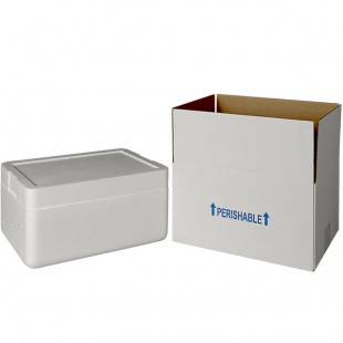 Insulated Shipping Box with Foam Cooler 13 3/8