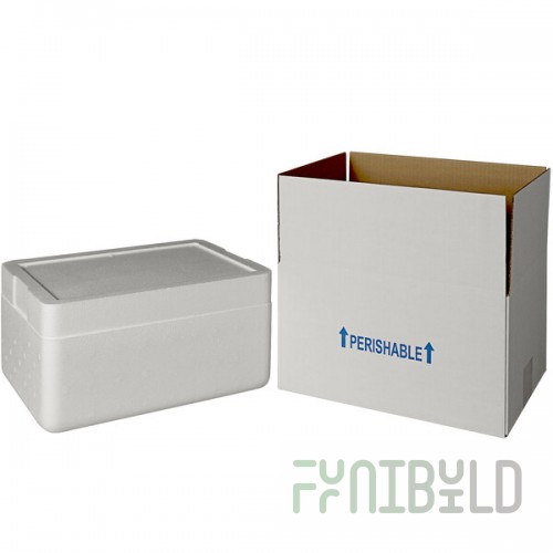 Insulated Shipping Box with Foam Cooler 13 3/8