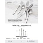 Zwiesel Fortessa Grand City Sand Blasted 9 3/16