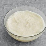 Catania Spagna Coconut Oil 35 lb. Pail Catania Spagna Coconut Oil 35 lb. Pail