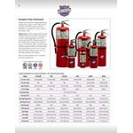 Buckeye 10 lb. Purple K Dry Chemical BC Fire Extinguisher - Rechargeable Untagged - UL Rating 80-B:C