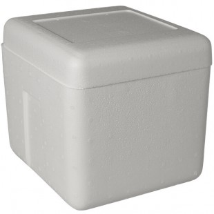 Insulated Foam Cooler 12