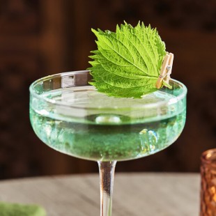 Fresh Origins Green Shiso Leaf - 100/Case Fresh Origins Green Shiso Leaf - 100/Case