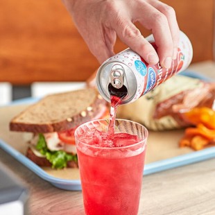 Ocean Spray Sparkling Cranberry Juice Cocktail 11.5 fl. oz. - 24/Case Ocean Spray Sparkling Cranberry Juice Cocktail 11.5 fl. oz. - 24/Case