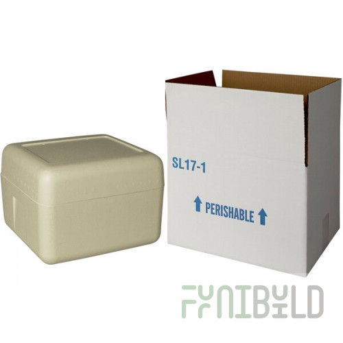 Insulated Shipping Box with Biodegradable Cooler 12 1/8