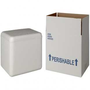 Insulated Shipping Box with Foam Cooler 9 5/8 Insulated Shipping Box with Foam Cooler 9 5/8