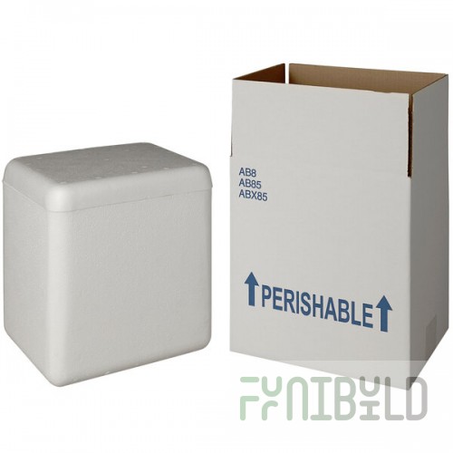 Insulated Shipping Box with Foam Cooler 9 5/8