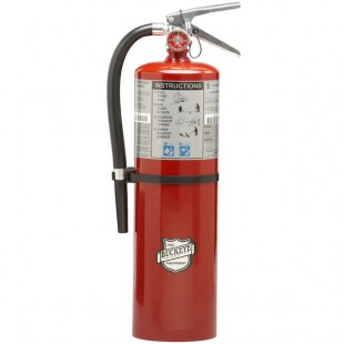 Buckeye 10 lb. Standard Dry Chemical Fire Extinguisher with Wall Mount - Rechargeable Untagged - UL Rating 40-B:C