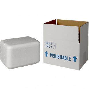 Insulated Shipping Box with Foam Cooler 8 3/4 Insulated Shipping Box with Foam Cooler 8 3/4